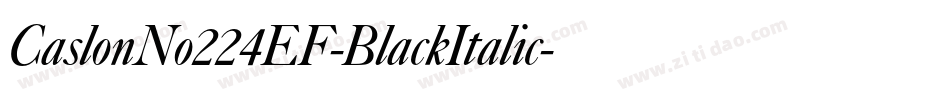 CaslonNo224EF-BlackItalic字体转换