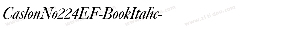 CaslonNo224EF-BookItalic字体转换