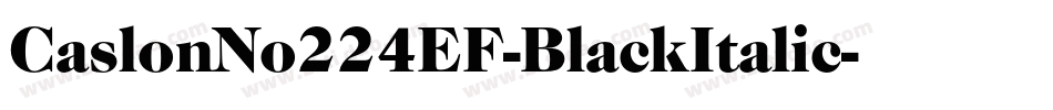 CaslonNo224EF-BlackItalic字体转换