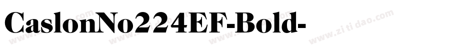 CaslonNo224EF-Bold字体转换