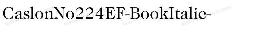 CaslonNo224EF-BookItalic字体转换