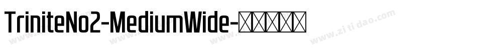 TriniteNo2-MediumWide字体转换