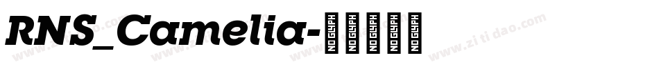 RNS_Camelia字体转换