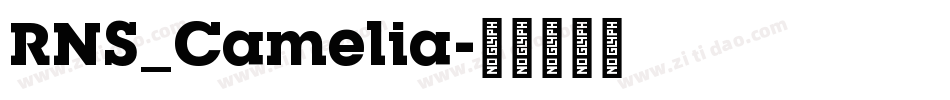 RNS_Camelia字体转换