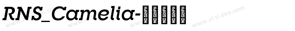 RNS_Camelia字体转换