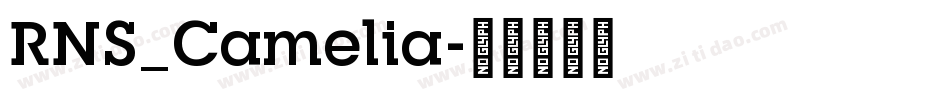 RNS_Camelia字体转换