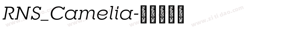 RNS_Camelia字体转换