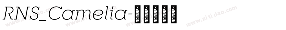 RNS_Camelia字体转换