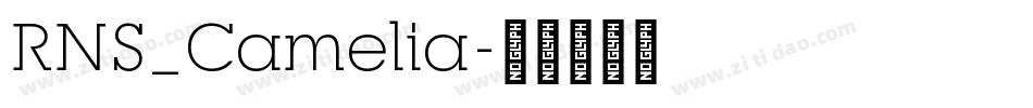 RNS_Camelia字体转换