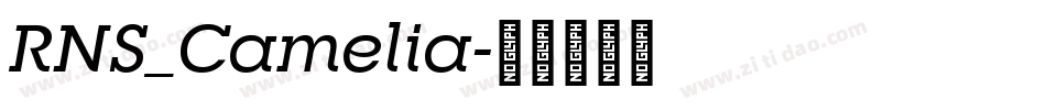 RNS_Camelia字体转换