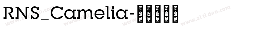 RNS_Camelia字体转换