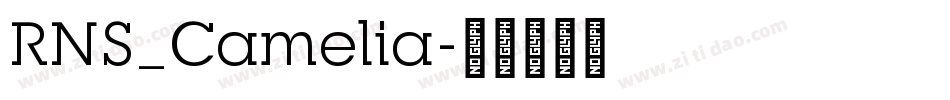 RNS_Camelia字体转换