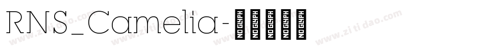 RNS_Camelia字体转换
