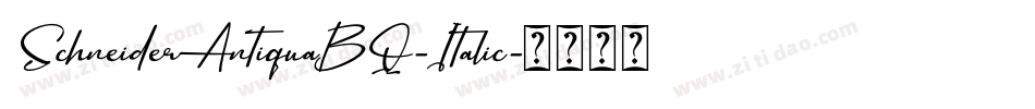 SchneiderAntiquaBQ-Italic字体转换