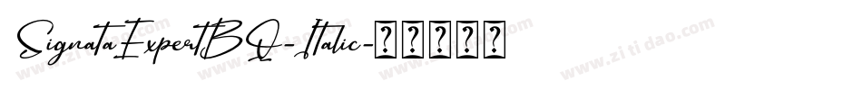 SignataExpertBQ-Italic字体转换
