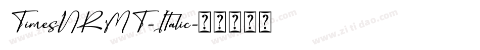 TimesNRMT-Italic字体转换