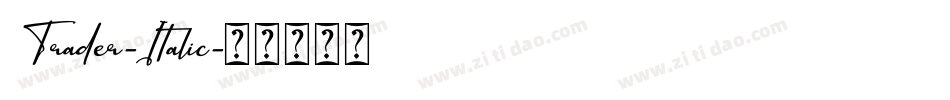 Trader-Italic字体转换