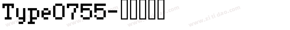 Type0755字体转换