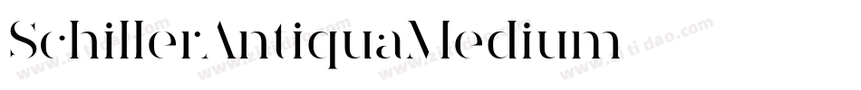 SchillerAntiquaMedium字体转换