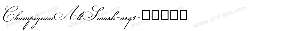 ChampignonAltSwash-nrq1字体转换