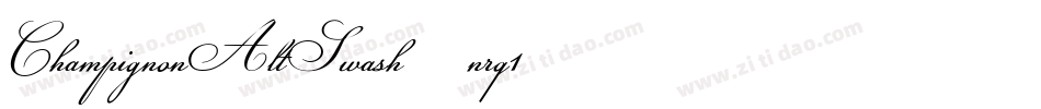 ChampignonAltSwash-nrq1字体转换