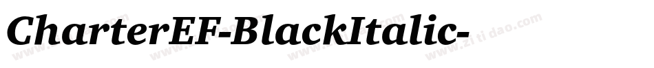 CharterEF-BlackItalic字体转换