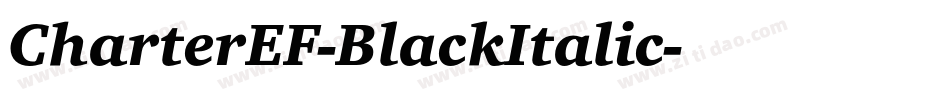 CharterEF-BlackItalic字体转换