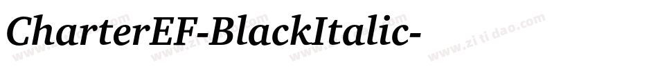 CharterEF-BlackItalic字体转换