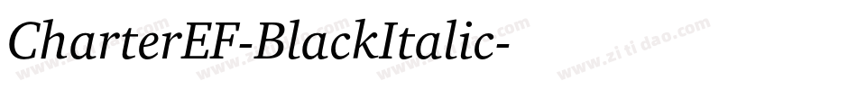 CharterEF-BlackItalic字体转换