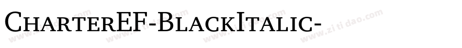CharterEF-BlackItalic字体转换