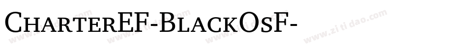 CharterEF-BlackOsF字体转换