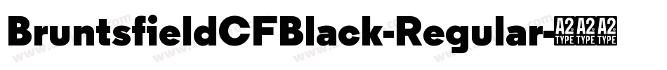 BruntsfieldCFBlack-Regular字体转换