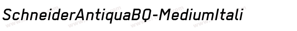 SchneiderAntiquaBQ-MediumItalic字体转换