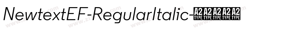 NewtextEF-RegularItalic字体转换
