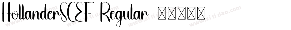 HollanderSCEF-Regular字体转换