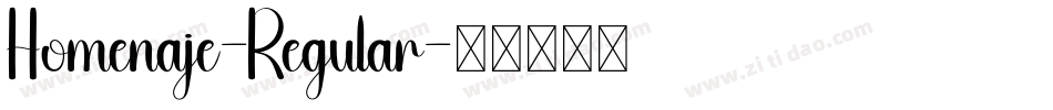 Homenaje-Regular字体转换