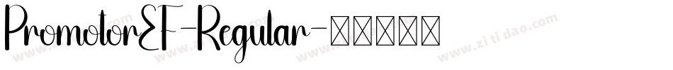 PromotorEF-Regular字体转换