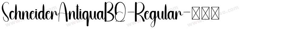 SchneiderAntiquaBQ-Regular字体转换