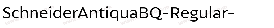 SchneiderAntiquaBQ-Regular字体转换