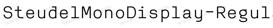 SteudelMonoDisplay-Regular字体转换