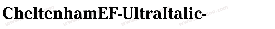 CheltenhamEF-UltraItalic字体转换
