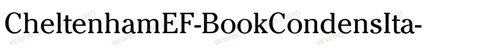 CheltenhamEF-BookCondensIta字体转换