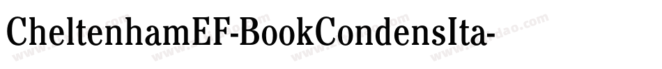 CheltenhamEF-BookCondensIta字体转换