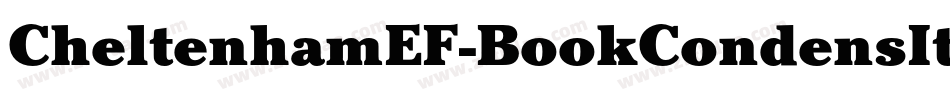 CheltenhamEF-BookCondensIta字体转换