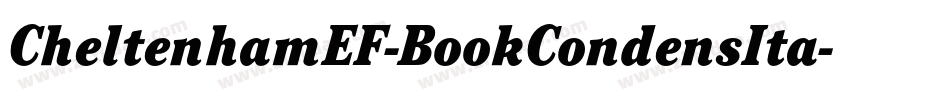 CheltenhamEF-BookCondensIta字体转换