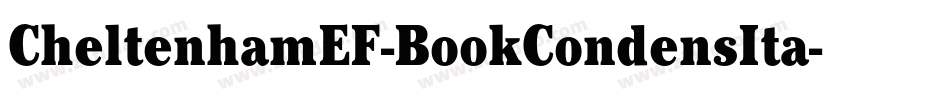 CheltenhamEF-BookCondensIta字体转换