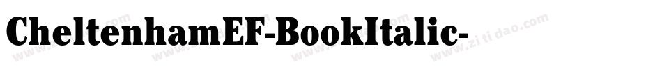 CheltenhamEF-BookItalic字体转换