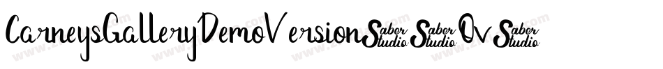 CarneysGalleryDemoVersion-2Ov0o字体转换