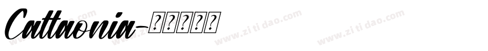 Cattaonia字体转换