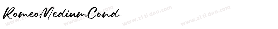 RomeoMediumCond字体转换